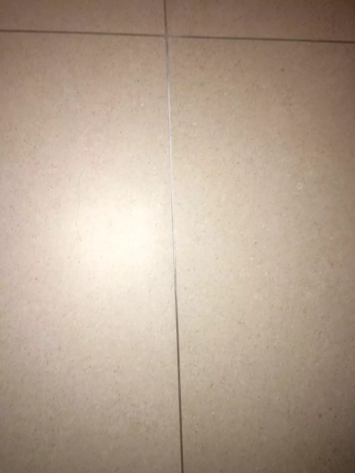 Natursteinsanierung von Fugen - Weltneuheit Fugentorpedo 2